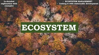 Thumbnail: Ecosystem | Ecosystem Management | Ecosystem Management linking with  Sustainable Development