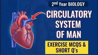 Thumbnail: 2nd year Bio | Ch#02 | Circulatory System of Man | Lec#11 | Exercise MCQs and Short questions