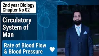 Thumbnail: 2nd year Bio | Ch#02 | Circulatory System of Man | Lec#07 | Rate of Blood flow and Blood Pressure 