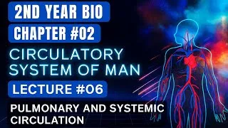 Thumbnail: 2nd year Bio | Ch#02 | Circulatory System of Man | Lec#06 | Pulmonary and Systemic Circulation 