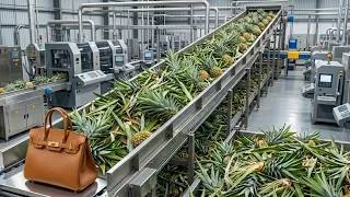 Thumbnail: From Trash to Treasure: Turning Pineapple Waste into Luxury Fashion! Inside the Process