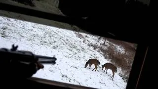 Thumbnail: DEER GRENADE💥DEER HUNTING🦌CHAOS ON LAST DAY! 5 Down w/.45 Long Colt .44 Mag Revolver 450 Bushmaster