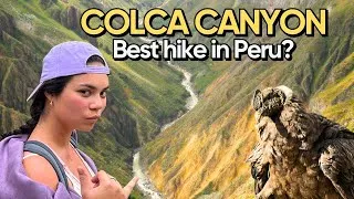 Thumbnail: Colca Canyon, Peru 🇵🇪 – Better Than the Inca Trail?!