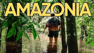 Thumbnail: Lost in the Peruvian Amazon 🇵🇪 | Puerto Maldonado & Tambopata National Park