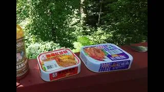 Thumbnail: Asian Market canned spicy fish eel taste test food review