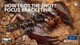 Thumbnail: How I Got the Shot? -  Focus Bracketing
