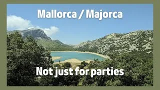 Thumbnail: A Paella a Day Keeps the ??? Away