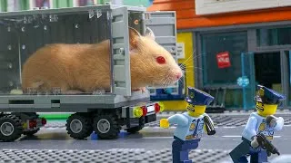 Thumbnail: Hamster A-MAZE-ING LEGO Obstacle Course | LEGO Land | Lego Stop Motion