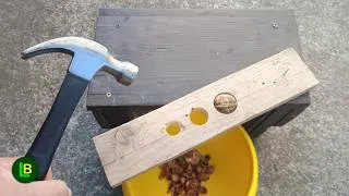 Thumbnail: The Easiest Way to Crack Walnuts & Hazelnuts – DIY Nut Cracker!