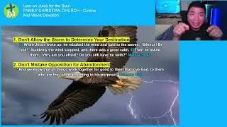 Thumbnail: Lem-on Juice For The Soul - Rising Above The Storm
