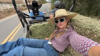 Thumbnail: Cowgirl Chronicles: Trail Ride on Green Horses