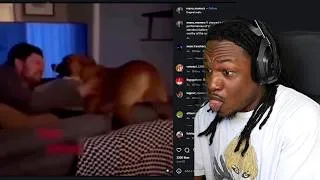 Thumbnail: Try not to laugh or smile #70 ...
