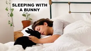 Thumbnail: If Your Rabbit Sleeps Near You, They're Trying To Tell You This!
