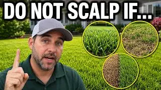 Thumbnail: Should You Scalp Your Lawn Before Fall Overseeding? The Truth