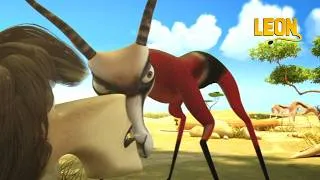 Thumbnail: Super Springbok | Leon the Lion | 75' Compilation | Crazy animals