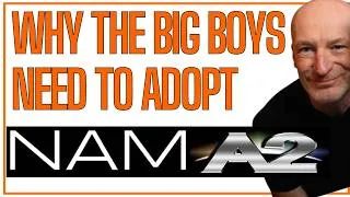 Thumbnail: WHY the BIG GUITAR COMPANIES NEED NAM!