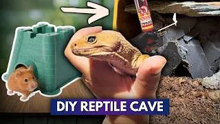 Thumbnail: I Bought a Hamster Castle... and Turned it Into a Reptile Cave