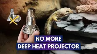 Thumbnail: Changing The Way I Heat My Reptiles | Temperature vs Power Density