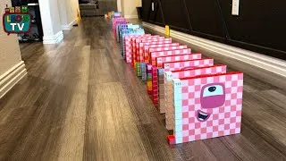 Thumbnail: NumberBlocks Domino Chain Reaction Super Fun | |  Leo’s TV