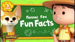Thumbnail: Did You Know? Fennec Foxes have Large, Bat-like Ears! 👂🏻 | Animal Facts | Leo the Wildlife Ranger