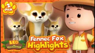 Thumbnail: FENNEC FOX HIGHLIGHTS! | Leo the Wildlife Ranger | Educational Animal Cartoons
