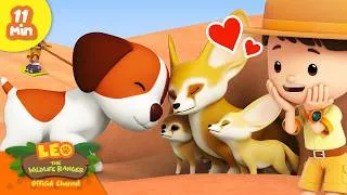 Thumbnail: Fennec Foxes are the Cutest Desert Animals! | Leo the Wildlife Ranger | Learning Animal Cartoons