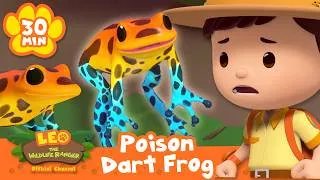 Thumbnail: STAY CLEAR FROM COLOURFUL POISONOUS FROGS ! | Leo the Wildlife Ranger | Learning Animal Cartoons