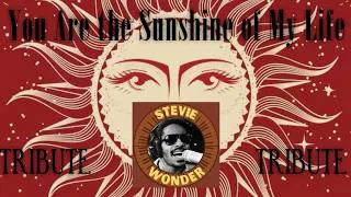 Thumbnail: SAX SOUNDTRACK You Are the Sunshine of My Life  Stevie Wonder Tribute TENOR SAX & SOPRANO SAX