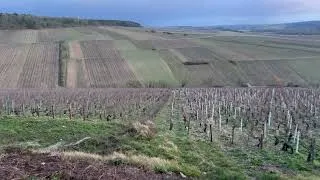 Thumbnail: Panoramic view of Bougros Grand Cru, Chablis