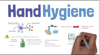 Thumbnail: Hand Hygiene – Why? How? When?