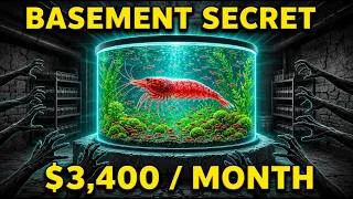 Thumbnail: The 30-Gallon Tank in My Cousin's Basement That Quietly Makes $3,400 a Month