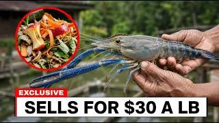 Thumbnail: The 12-Inch Animal That Eats Your Garbage and Sells for $30 a Pound