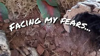 Thumbnail: Overcoming My Biggest Fears...Every Day// New Pet Introduction//