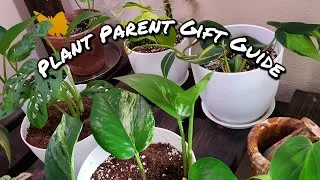 Thumbnail: 5 Useful Gifts for Plant Parents