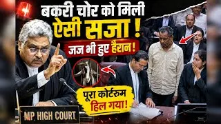 Thumbnail: बकरी चोर को मिली ऐसी सजा 😨 जज हुए हैरान 😱#patnacivilcourt #federalcourt#argument #lexshree