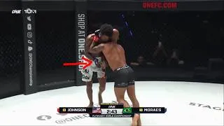Thumbnail: The 4 Domains You Must Master as an MMA Fighter