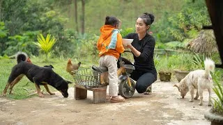 Thumbnail: Peaceful Mountain Life | Gardening & Traditional Buffalo Skin Soup