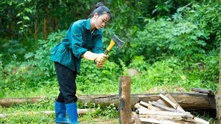 Thumbnail: Gather Firewood, Prepare Food Reserves for Big Storm Wipha