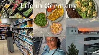 Thumbnail: Living alone diaries | Meal prepping | Groceries | work