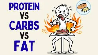 Thumbnail: Which Macronutrient Costs Your Body the Most Energy to Digest?