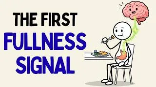 Thumbnail: The First Signal That Tells Your Brain You’ve Eaten Enough