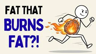 Thumbnail: Why Your Body Has a Type of Fat That Actually Burns Energy