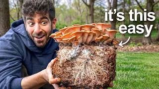 Thumbnail: I Tried EVERY Way To Grow Mushrooms At Home