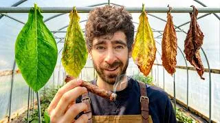 Thumbnail: Why I Started Growing My Own Cigars