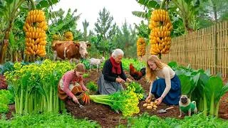 Thumbnail: Peaceful Mountain Village Life | Harvesting Fresh Vegetables, Feeding Animals, Simple Daily Living