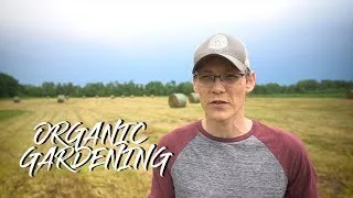 Thumbnail: Simple Organic Change with big results to Garden soil in just 2 weeks