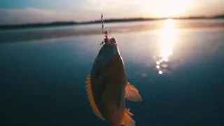 Thumbnail: Lake to Plate