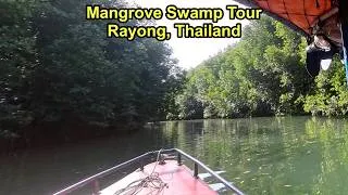 Thumbnail: Mangrove Swamp Boat Tour, I Did Not Know Thailand Had Fruit Bats.