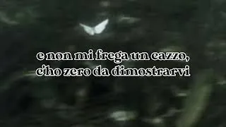Thumbnail: LYRICS - VENT'ANNI by Måneskin