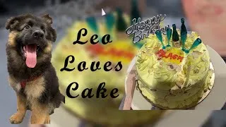 Thumbnail: Leo love’s cake🎂 ☺️😋😋